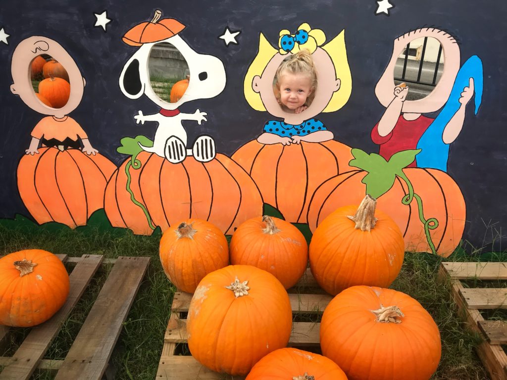 Preparing your Toddler for Halloween 