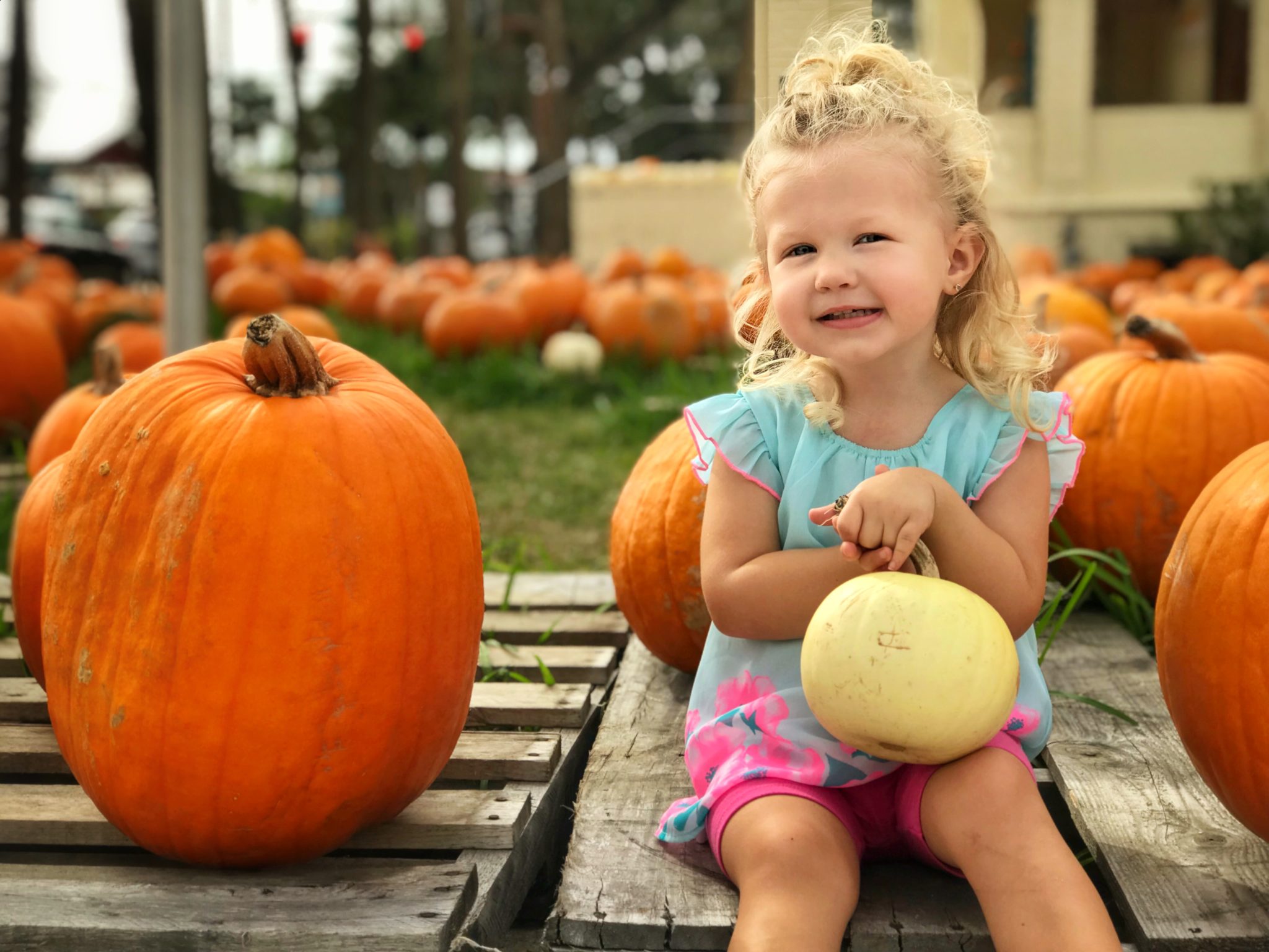 Get Toddler Ready for Halloween