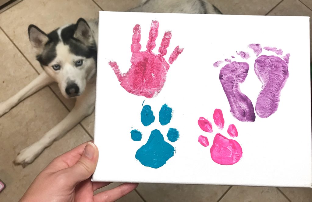 Baby and Pet Paw Print Canvas DIY