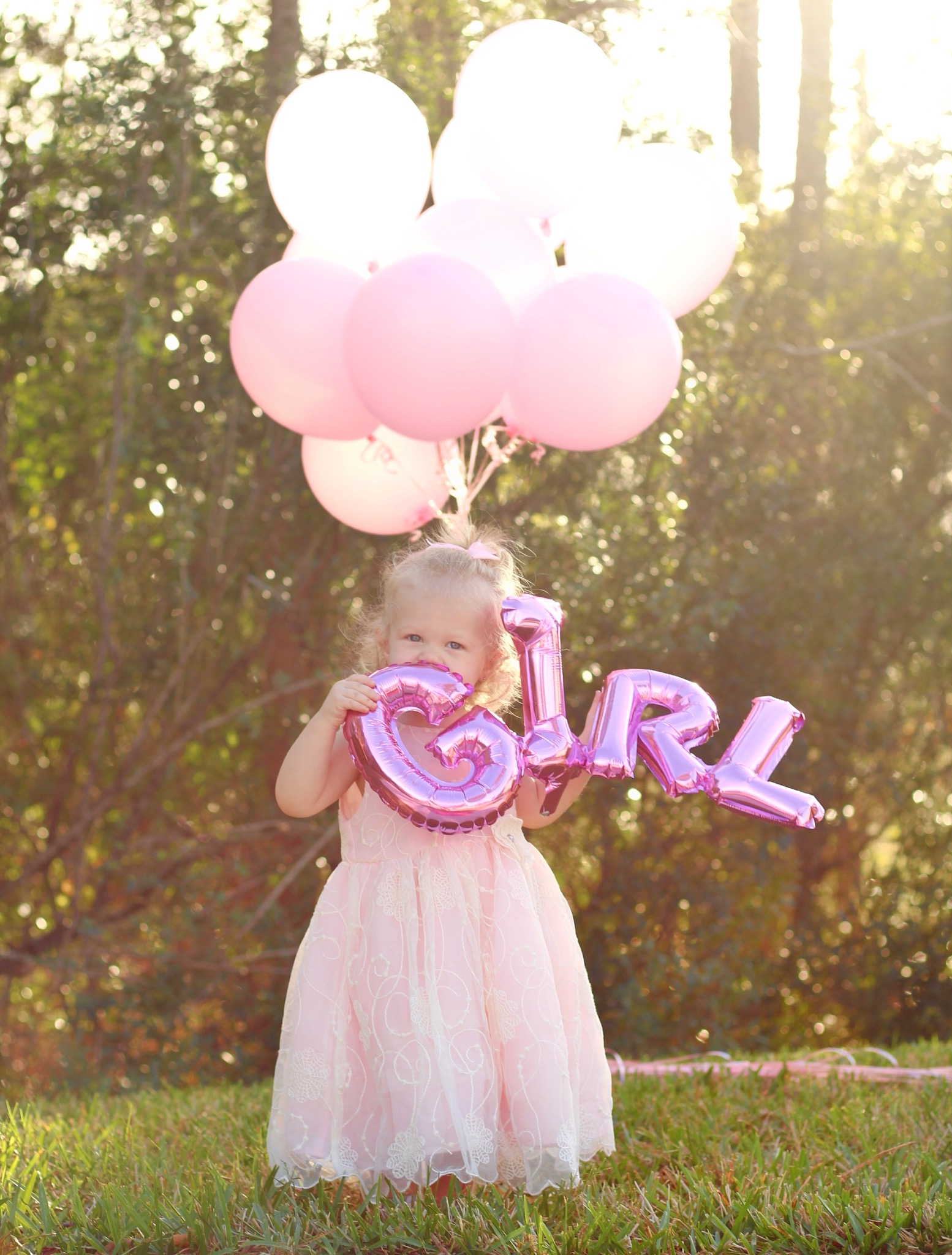Gender Reveal Photo Ideas with Toddler