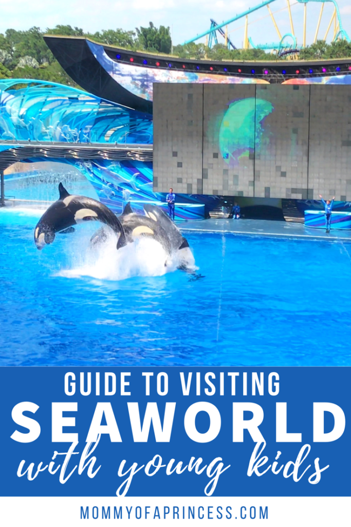 Guide to visiting SeaWorld with young kids