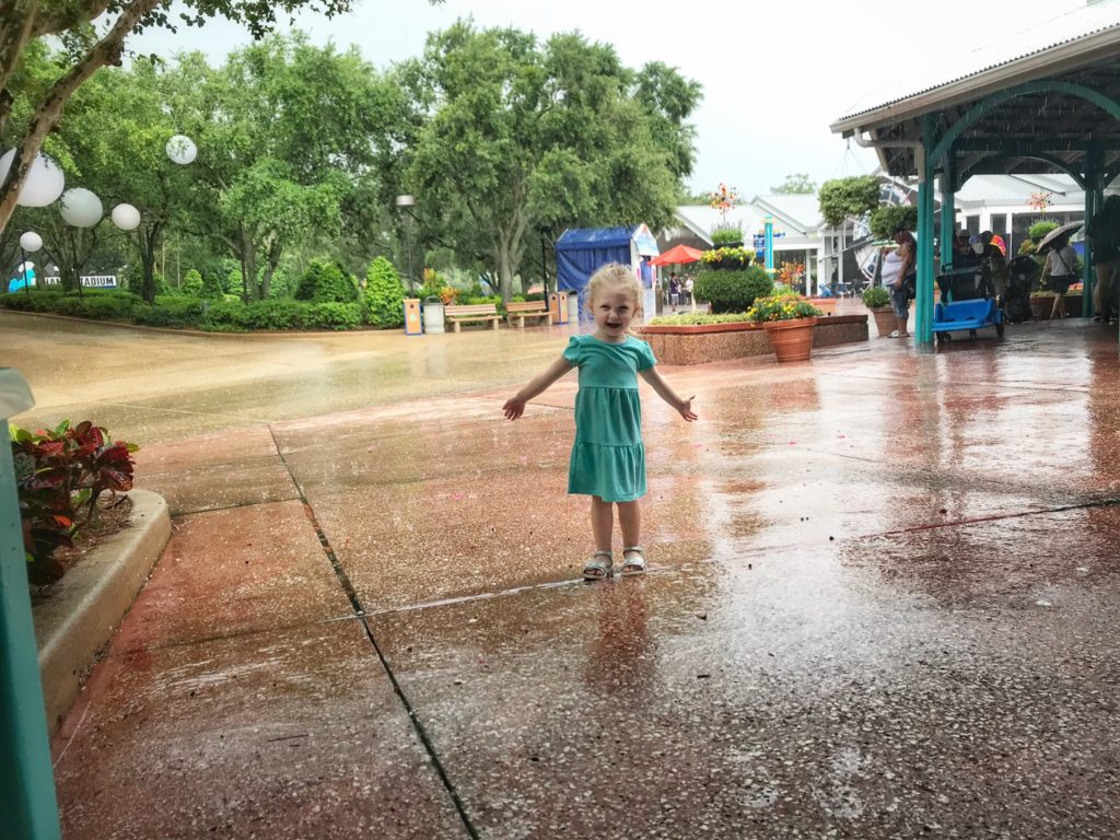 Rain at SeaWorld Orlando