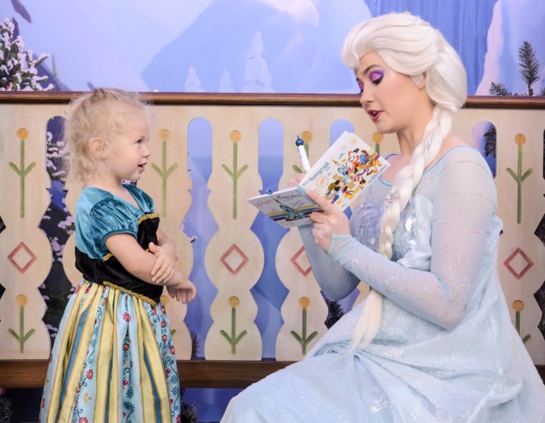 Ultimate Guide to Meeting Princesses at Disney World