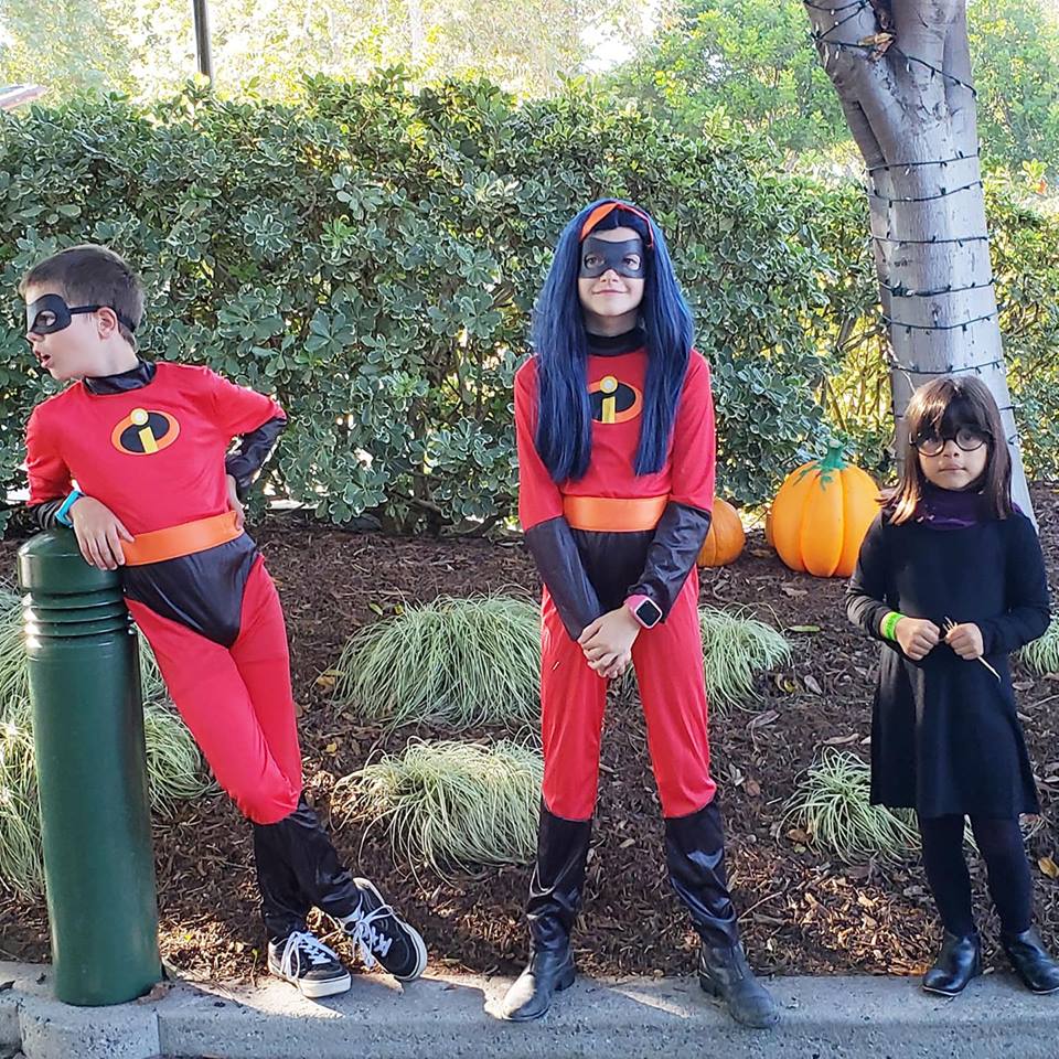 The Incredibles Disney Family Halloween Costumes