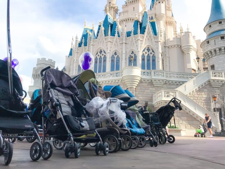 Best Double Strollers for Disney World Adventures